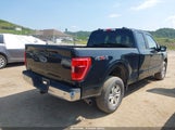 Ford F-150 Xl 1FTFX1E53MFA39278 снимка