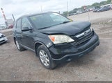 Honda Cr-V Ex-L 5J6RE48729L066458 photo