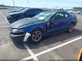 Ford Mustang 1FAFP4042XF198223 снимка