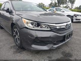 HONDA ACCORD LX 1HGCR2F33HA264949 снимка