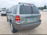 Ford Escape Xlt/Xlt Sport 1FMCU03126KB78152 fotografie