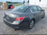 HONDA ACCORD 2.4 EX-L 1HGCP2F80AA036236 снимка