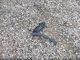 Toyota Rav4 Xle JTMRFREV7EJ011366 снимка