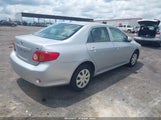 Toyota Corolla Le JTDBL40E89J053586 снимка