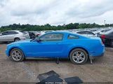 Ford Mustang V6/V6 Premium 1ZVBP8AN6A5152475 fotografie