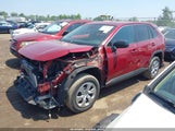 Toyota Rav4 Le 2T3F1RFV6NW294411 снимка