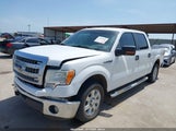 Ford F-150 Xlt 1FTFW1CF1DKE55755 снимка