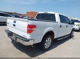 Ford F-150 Xlt 1FTFW1CF1DKE55755 снимка