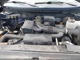 Ford F-150 Fx4/King Ranch/Lariat/Platinum/Xl/Xlt 1FTPW14V99FA05331 photo