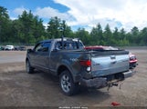 Ford F-150 Fx4/King Ranch/Lariat/Platinum/Xl/Xlt 1FTPW14V99FA05331 fotografie