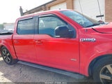 FORD F-150 XLT 1FTEW1CG0FKF13135 снимка