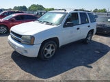 Chevrolet Trailblazer Ls 1GNDS13S072117999 снимка