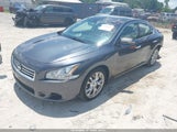 Nissan Maxima 3.5 Sv 1N4AA5AP3DC804216 снимка