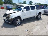 Toyota Tacoma Base V6 3TMLU42N39M026328 photo