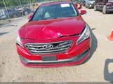 Hyundai Sonata Sport 5NPE34AF4HH568614 снимка
