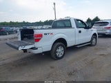 FORD F-150 STX 1FTMF1CM7BFD05791 снимка