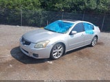 Nissan Maxima 3.5 Sl 1N4BA41E37C864790 снимка