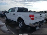 Ford F-150 Xlt 1FTEW1CM3EKD12253 снимка