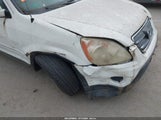 HONDA CR-V SE SHSRD78946U436599 снимка