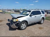 Ford Escape Xlt 1FMCU03Z98KA52525 снимка