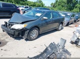 Toyota Camry Se/Le/Xle 4T4BF1FK5CR271480 photo