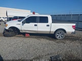 Ford F-150 Fx4/King Ranch/Lariat/Platinum/Xl/Xlt 1FTPW14V79KC93700 снимка