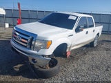 Ford F-150 Fx4/King Ranch/Lariat/Platinum/Xl/Xlt 1FTPW14V79KC93700 photo