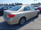 TOYOTA COROLLA LE 1NXBU4EE7AZ318146 снимка