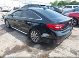 Hyundai Sonata Sport 5NPE34AF6HH546498 снимка