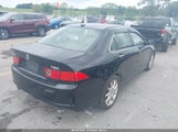 Acura Tsx JH4CL95888C002143 снимка