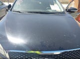 Kia Sorento 3.3L Lx 5XYPG4A51HG196998 photo