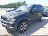 BMW X5 3.0I 5UXFA13575LY12355 снимка