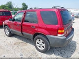 Ford Escape Xlt 1FMYU03Z07KB36690 снимка