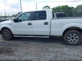 Ford F-150 Xlt 1FTFW1ETXEKF32143 снимка