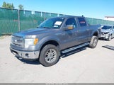 Ford F-150 Xlt 1FTFW1EF4DFC03939 снимка