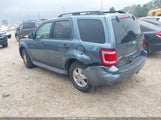 Ford Escape Xlt 1FMCU0DG4BKA04726 fotografie