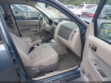 Ford Escape Xlt 1FMCU0DG4BKA04726 fotografie