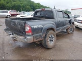 Toyota Tacoma Base V6 3TMLU4EN7FM206645 снимка
