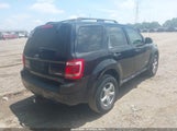 Ford Escape Xlt 1FMCU931X8KD76162 снимка