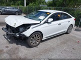 Hyundai Sonata Sport 5NPE34AF2GH345518 photo