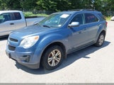 Chevrolet Equinox 1Lt 2CNFLEEC1B6264559 снимка