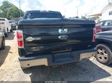 FORD F-150 FX4/HARLEY-DAVIDSON/KING RANCH/LARIAT/PLATINUM/XL/XLT 1FTFW1EV2AKE06872 снимка