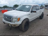 Ford F-150 Fx4/Harley-Davidson/King Ranch/Lariat/Platinum/Xl/Xlt 1FTFW1EV8AFB00607 снимка