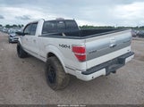 Ford F-150 Fx4/Harley-Davidson/King Ranch/Lariat/Platinum/Xl/Xlt 1FTFW1EV8AFB00607 снимка