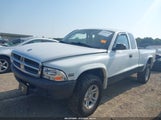 Dodge Dakota 1D7HG12K64S662796 снимка