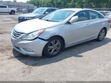 Hyundai Sonata Limited 5NPEC4AC4BH123674 снимка