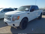 Ford F-150 Fx2 Sport/Xl/Xlt 1FTEW1C89AKE23824 fotografie