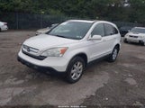 Honda Cr-V Ex-L 5J6RE487X9L039914 photo