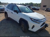 Toyota Rav4 Hybrid Woodland Edition 2T3UWRFV2SW290361 fotografie