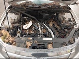 FORD FUSION SEL 3FAHP0JG5BR225775 снимка